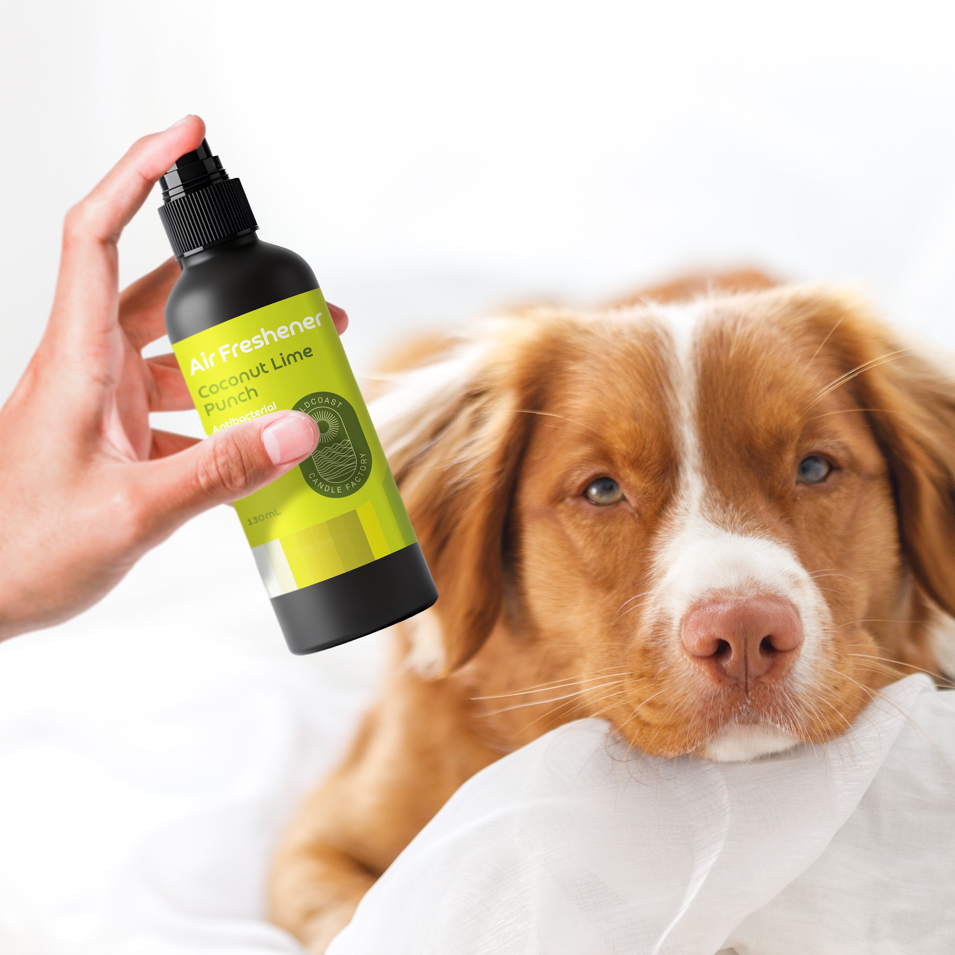 Air Freshener 130ml